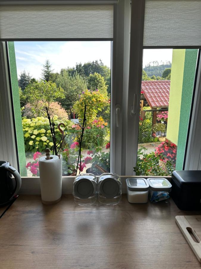 Apartamento Mr. Sowa Sokolec Ludwikowice Kłodzkie Exterior foto