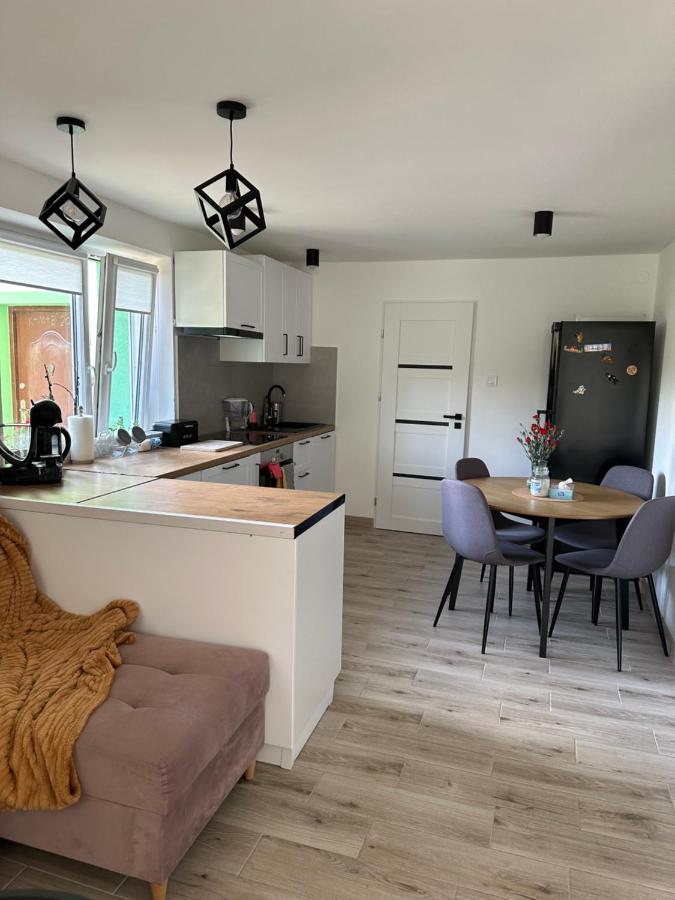 Apartamento Mr. Sowa Sokolec Ludwikowice Kłodzkie Exterior foto