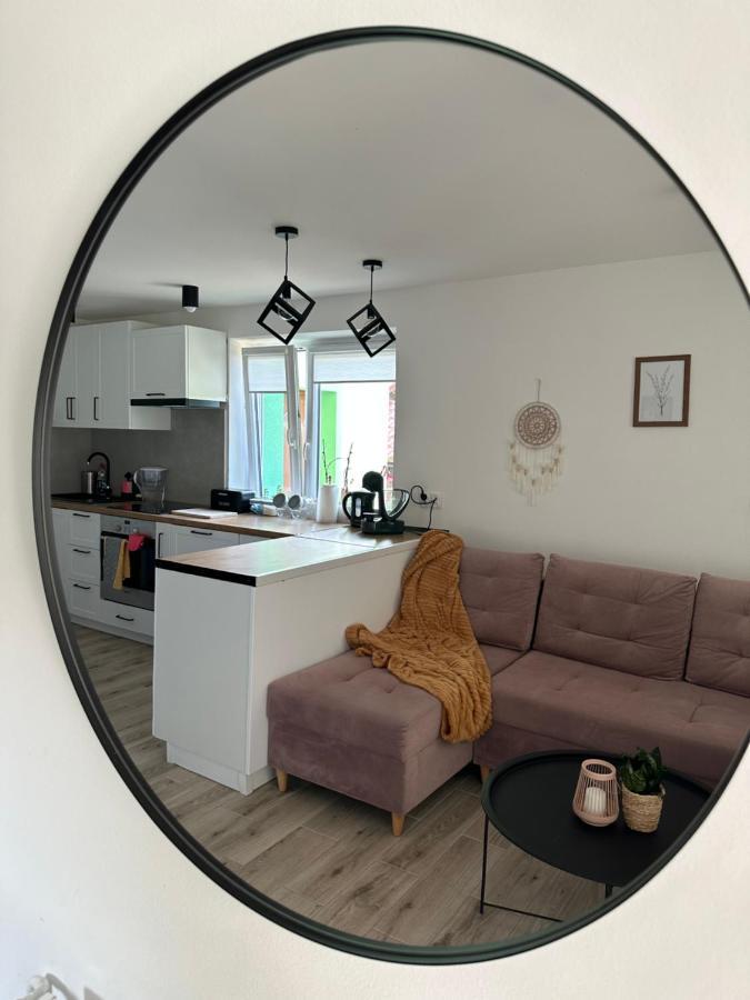 Apartamento Mr. Sowa Sokolec Ludwikowice Kłodzkie Exterior foto