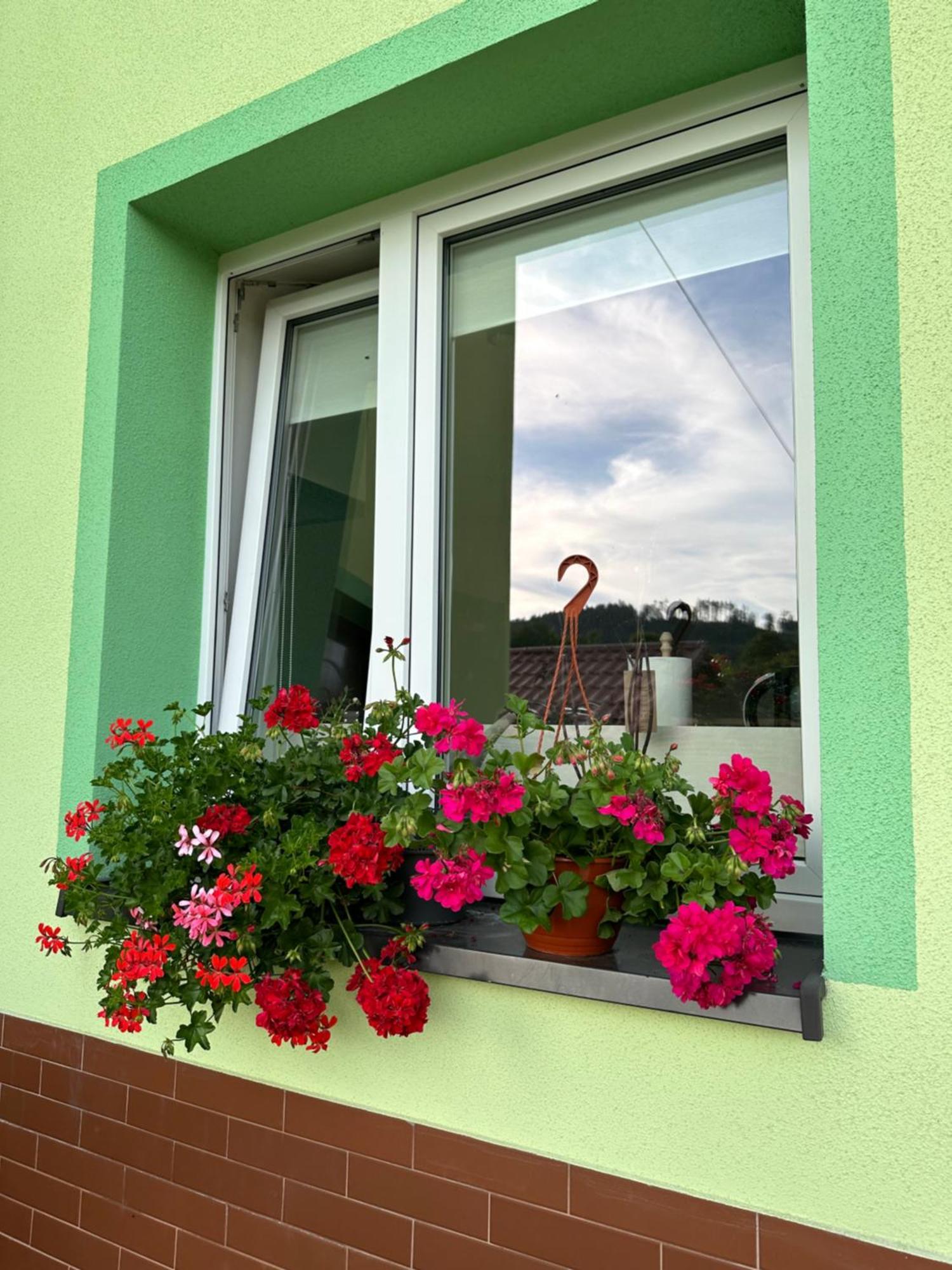 Apartamento Mr. Sowa Sokolec Ludwikowice Kłodzkie Exterior foto