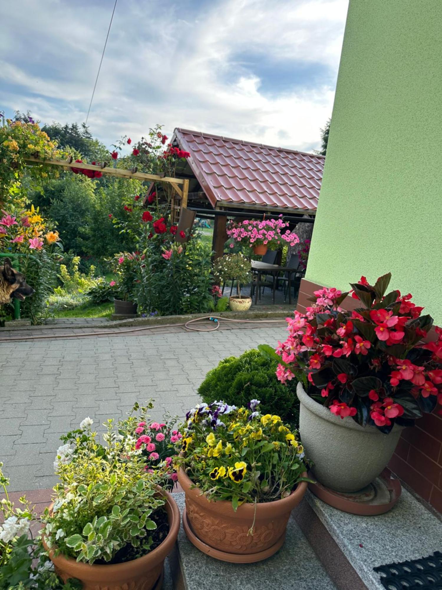 Apartamento Mr. Sowa Sokolec Ludwikowice Kłodzkie Exterior foto