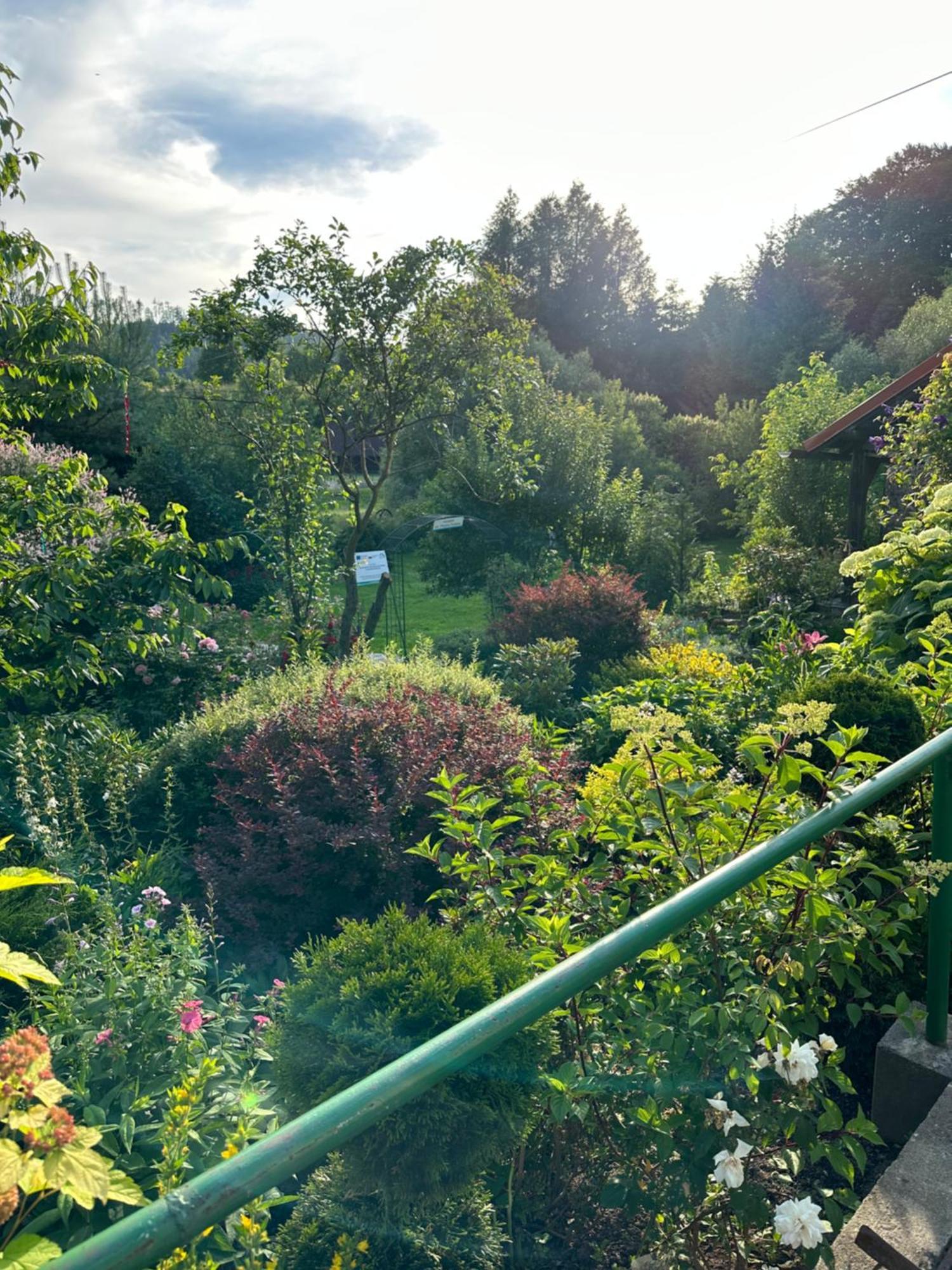 Apartamento Mr. Sowa Sokolec Ludwikowice Kłodzkie Exterior foto